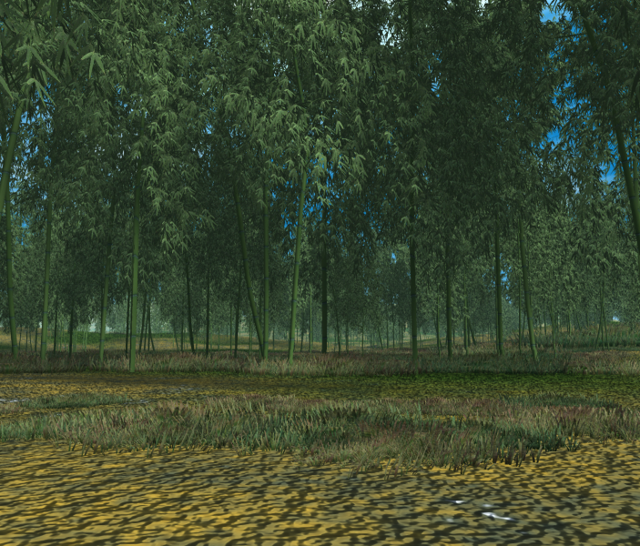 703px-Bamboo_forest
